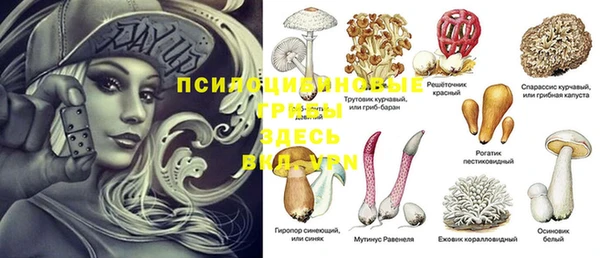 первитин Няндома