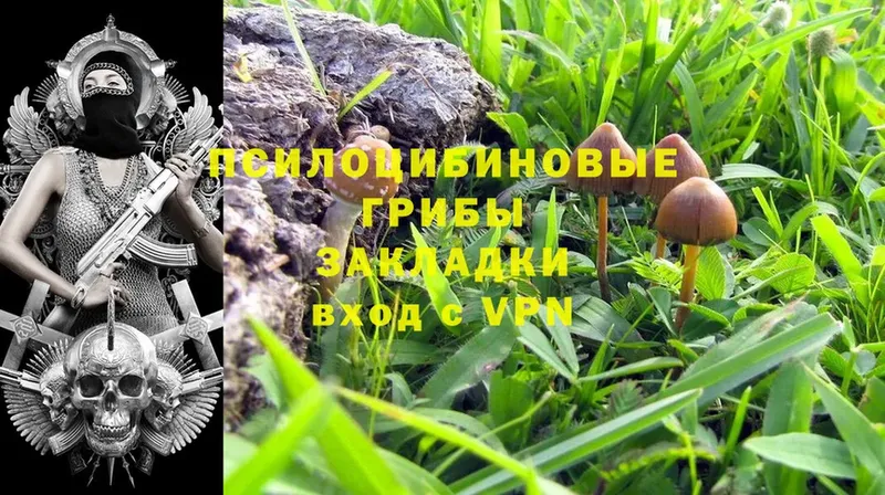 Галлюциногенные грибы Psilocybine cubensis  даркнет сайт  Асбест 