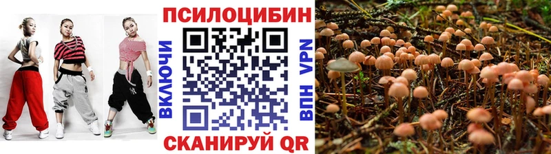 Псилоцибиновые грибы Cubensis где продают наркотики Асбест